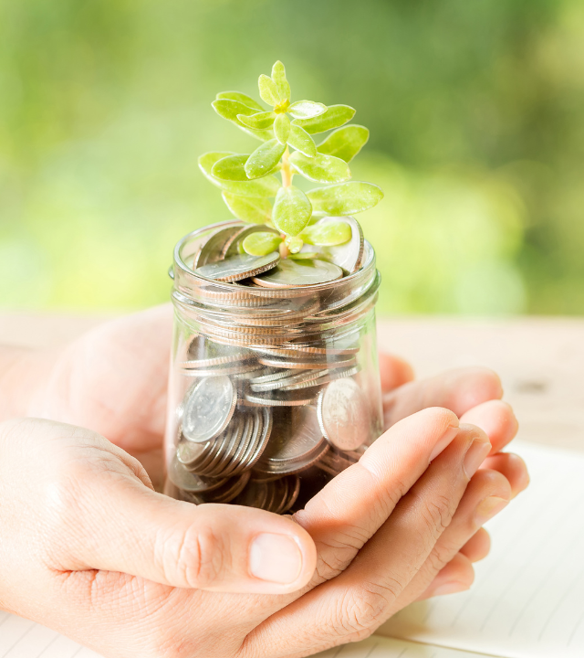 Woman-hand-money-tree
